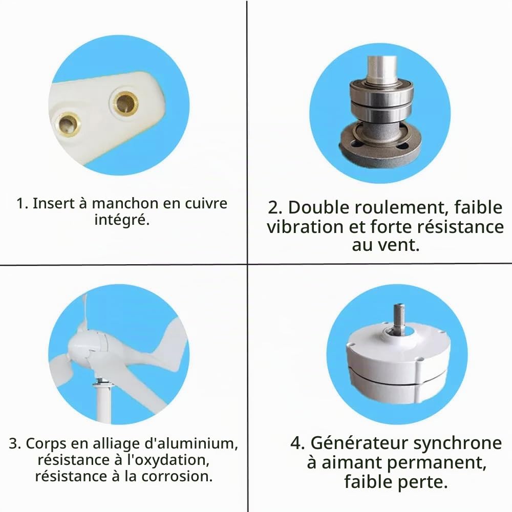 Générateur d'éolienne 500W, 12V 24V PMG Businesses Kit Turbine avec Régulateur de Vent à 5 Pales pour Charge à Domicile Marine