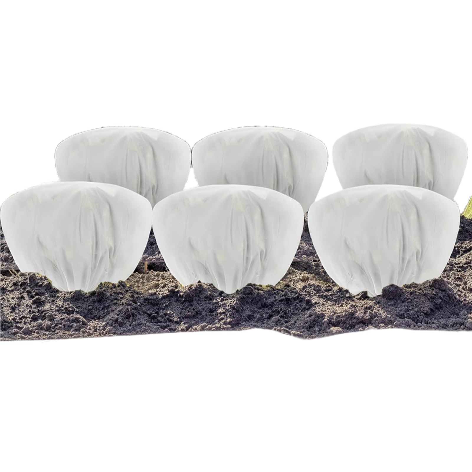 6pcs Scudi Invernali per Piante All'aperto, Adatto per Alberi, Palme e Altre Piante, con Cordone, Materiale Non Tessuto(Style 2,300x150cm)