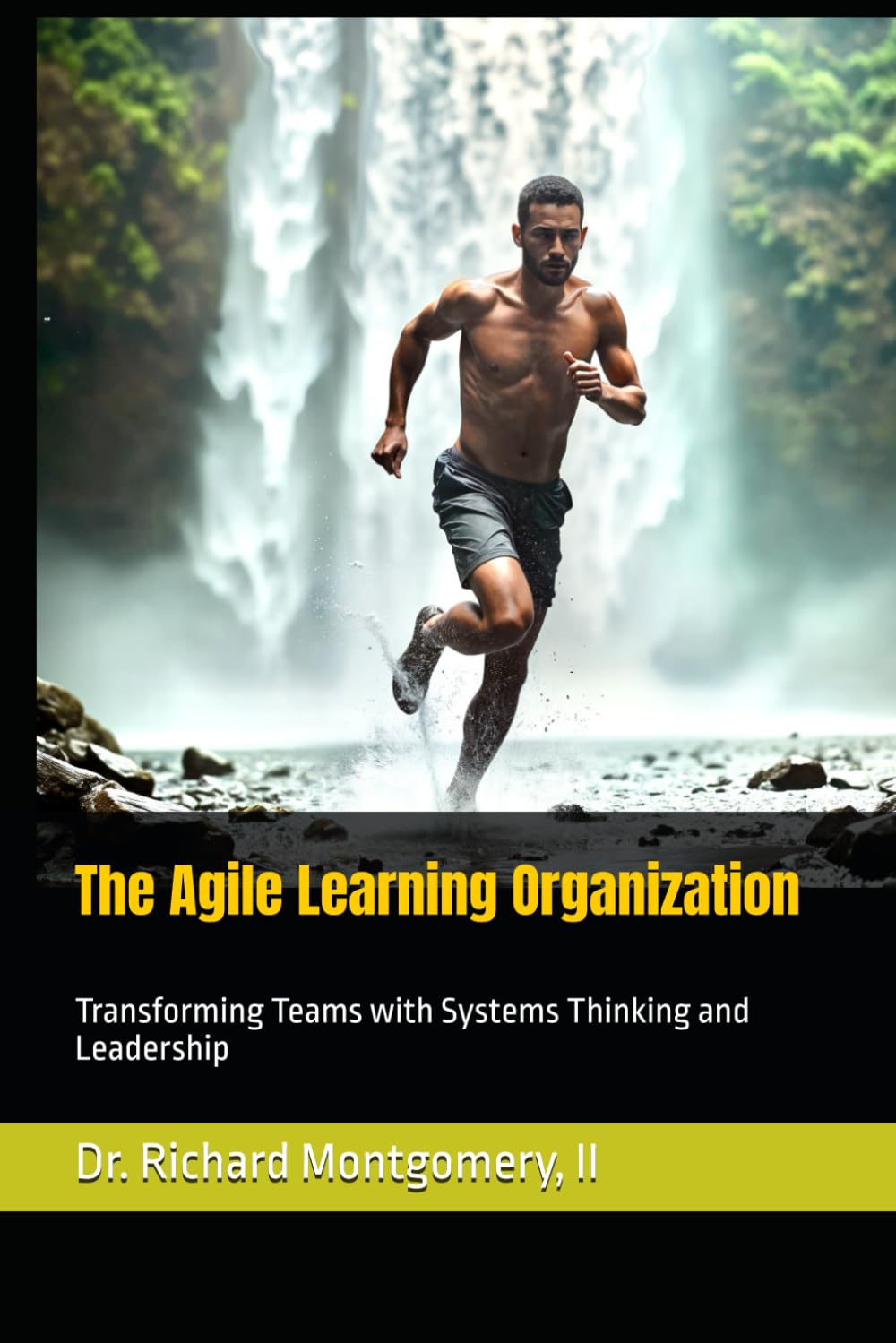 The Agile Learning Organization: Transforming Teams with Systems Thinking and Leadership
