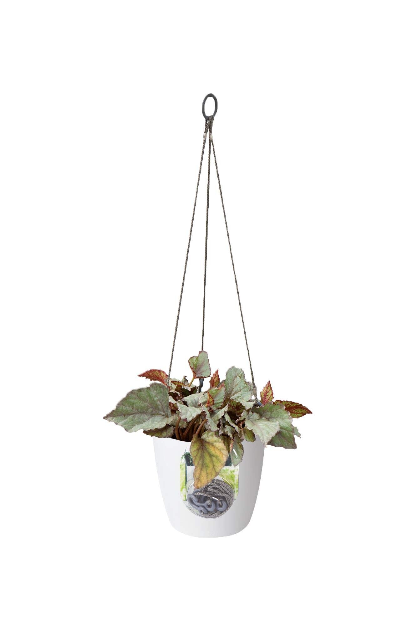 elho Brussels Hängeampel 18 - Blumentopf Hängend - Pflanzentopf für Innen - 100% recyceltes Plastik - Ø 18.3 x H 18.0 cm - Weiß/Weiss (Packung mit 4)