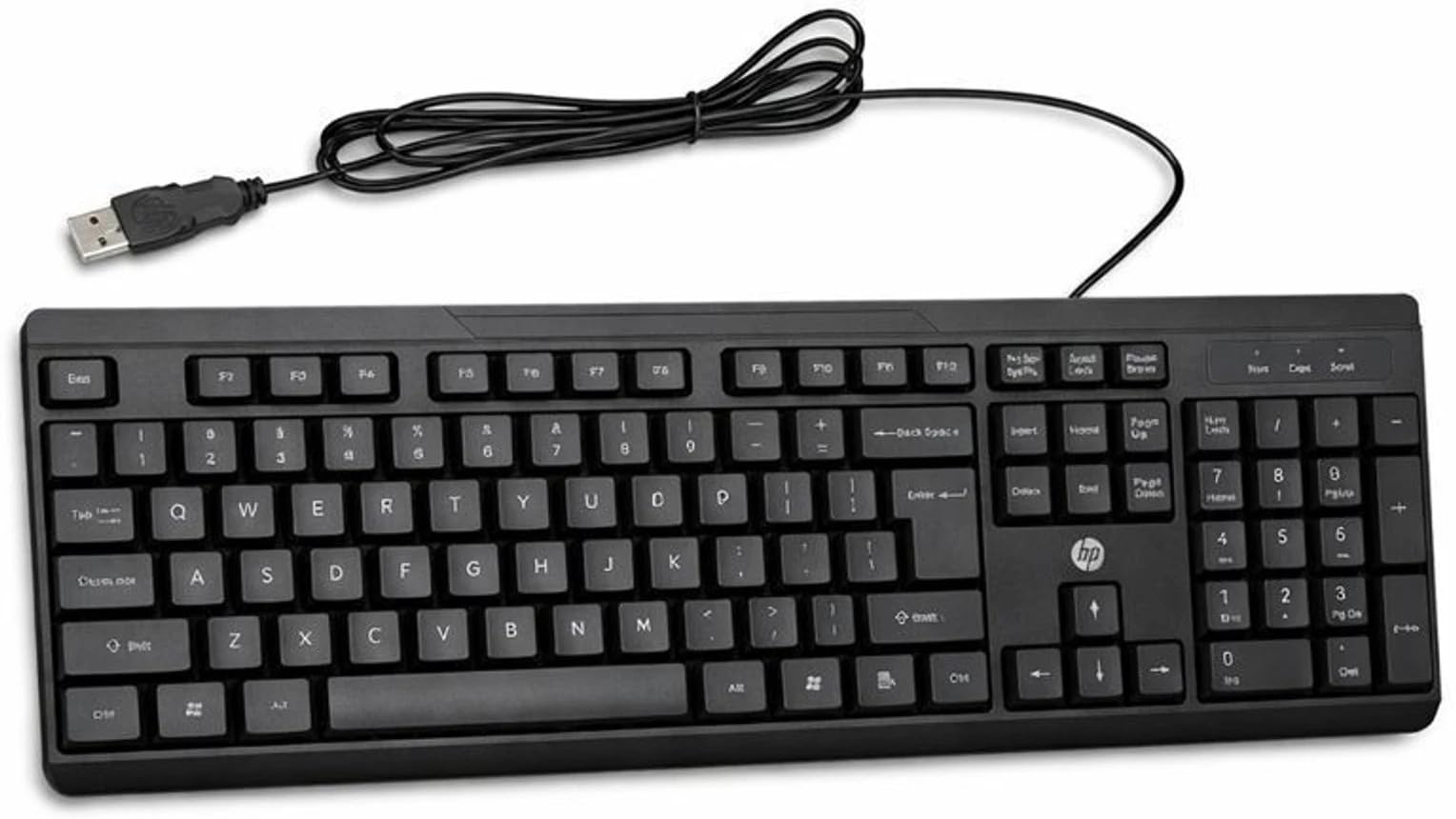 HP K125 Wired USB Keyboard, Standard Full-Size, Multi-Device Compatible, Plug and Play, LED Indicators, for Desktop, Laptop and PC, 3 Years Warranty — Amazon image 2