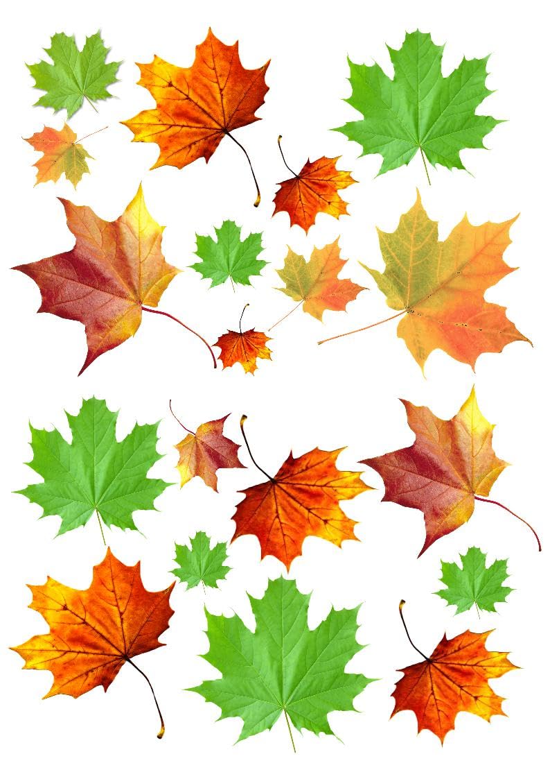 Leaves edible wafer paper cupcake cake toppers Rice Fairy Paper Decorations Party Autumn leaves leave