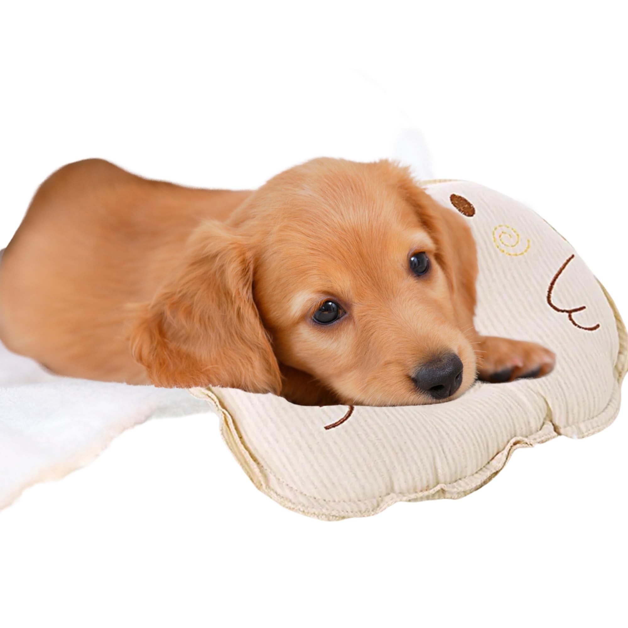 Piccolo cuscino per gatti e cani, giocattolo – morbido cuscino per animali domestici – morbido, soffice e confortevole, ideale per trasportino, divano, cesto e riposo quotidiano interno