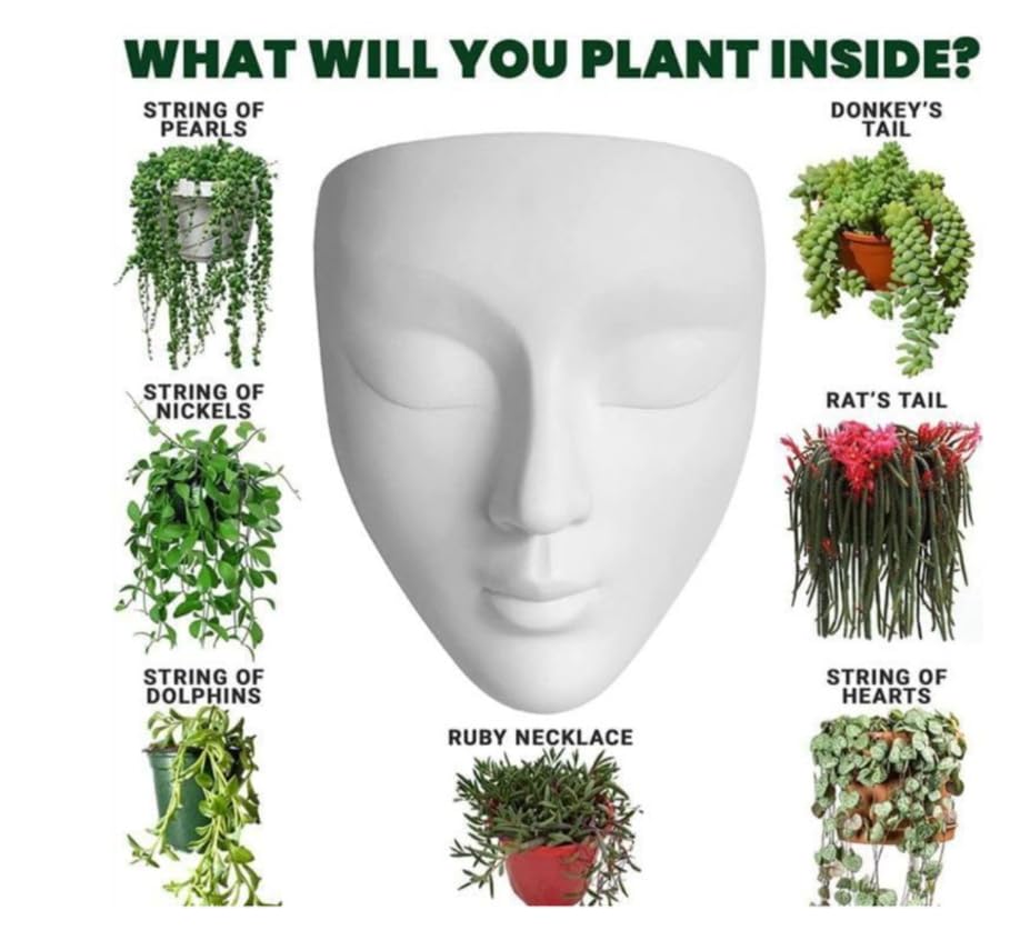 Image of Wall Mounted Face Planter Set, White, Decorative Indoor Plant Holder, Modern Home Decor, 2 Pieces (Plastic)