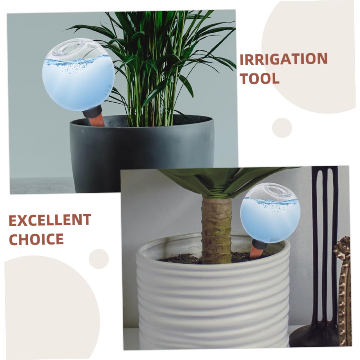 6pièces Globes Arrosage Automatique pour Plantes Intérieur Et Extérieur Pratique pour