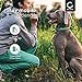 CELLONIC, Akku für Hundehalsband kompatibel mit Petsafe PIG22-11869, Deluxe Little Dog Spray Bark Control Collar, PBC00-10782 (150mAh, 3V) Ersatzakku Li-MnO2 3V