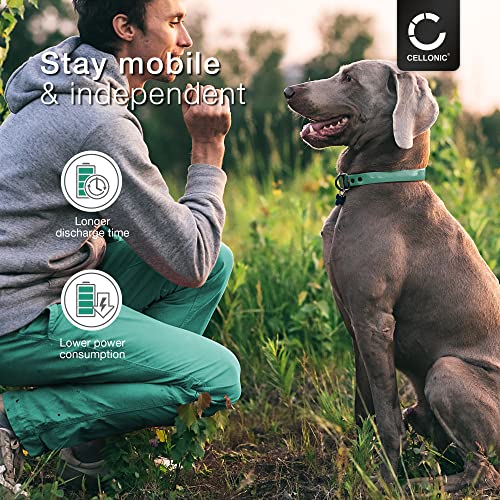 CELLONIC, Akku für Hundehalsband kompatibel mit Petsafe PIG22-11869, Deluxe Little Dog Spray Bark Control Collar, PBC00-10782 (150mAh, 3V) Ersatzakku Li-MnO2 3V