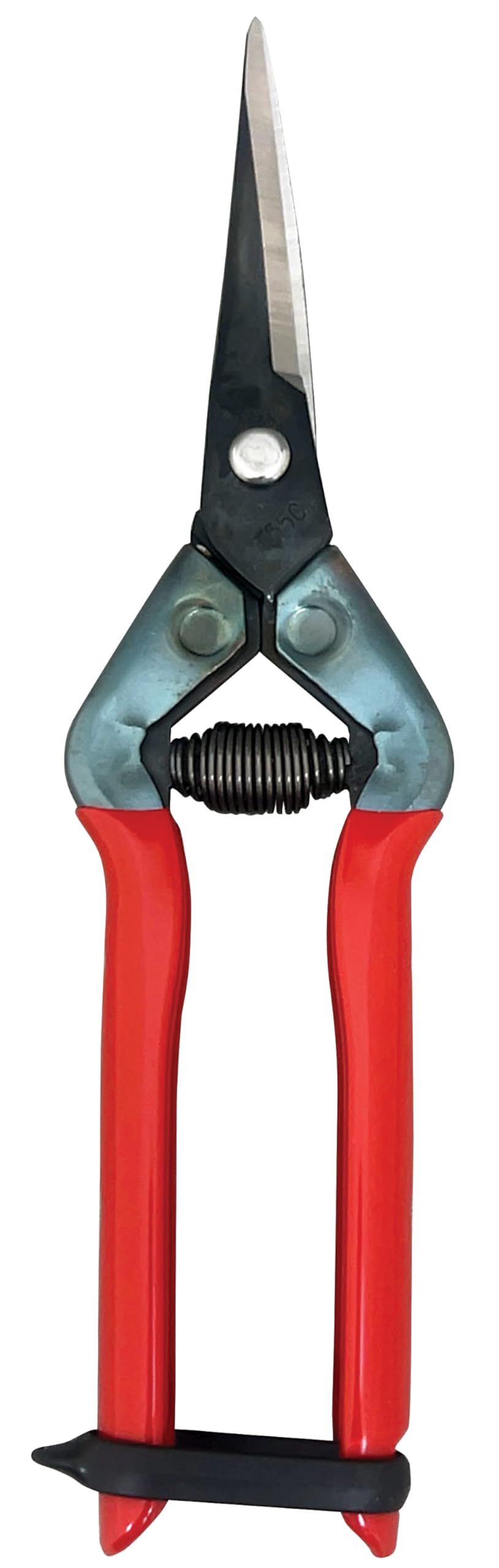 CHIKAMASA T-55CR, Professional Trimming Precise Curved Blade Scissors, Carbon Steel with razor-sharp edges, Curved Blade for precise trimming, harvesting vegetables and fruit, Black/Red