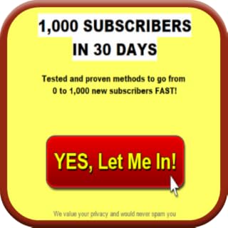 1000 Subscribers in 30 Days