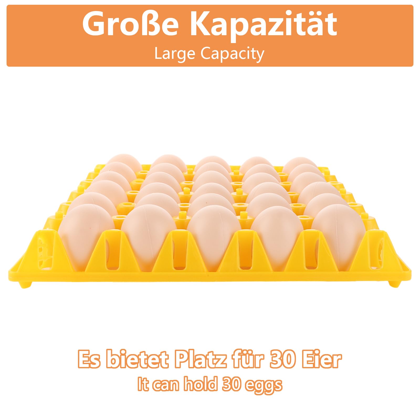 20 scatole per uova per 30 uova, in plastica, per la conservazione e il trasporto (5 colori)