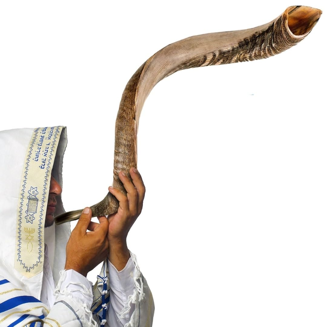 Kosher Jewish Kudu Blowing Horn Instrument Shofar from Israel - Kudu Shofar Angels Musical Instrument Half Polished Natural
