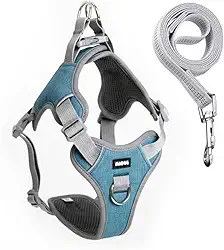 Coleira Peitoral Antipuxão Comfort com Guia de Passeio (M, Azul)