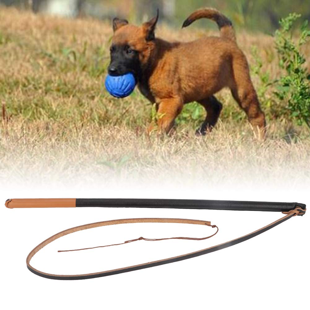 Fouet De Dressage pour Animaux De Compagnie, Cuir pour Animaux De Compagnie, Laisse De Protection, BâTon De Formation pour Animaux De Compagnie