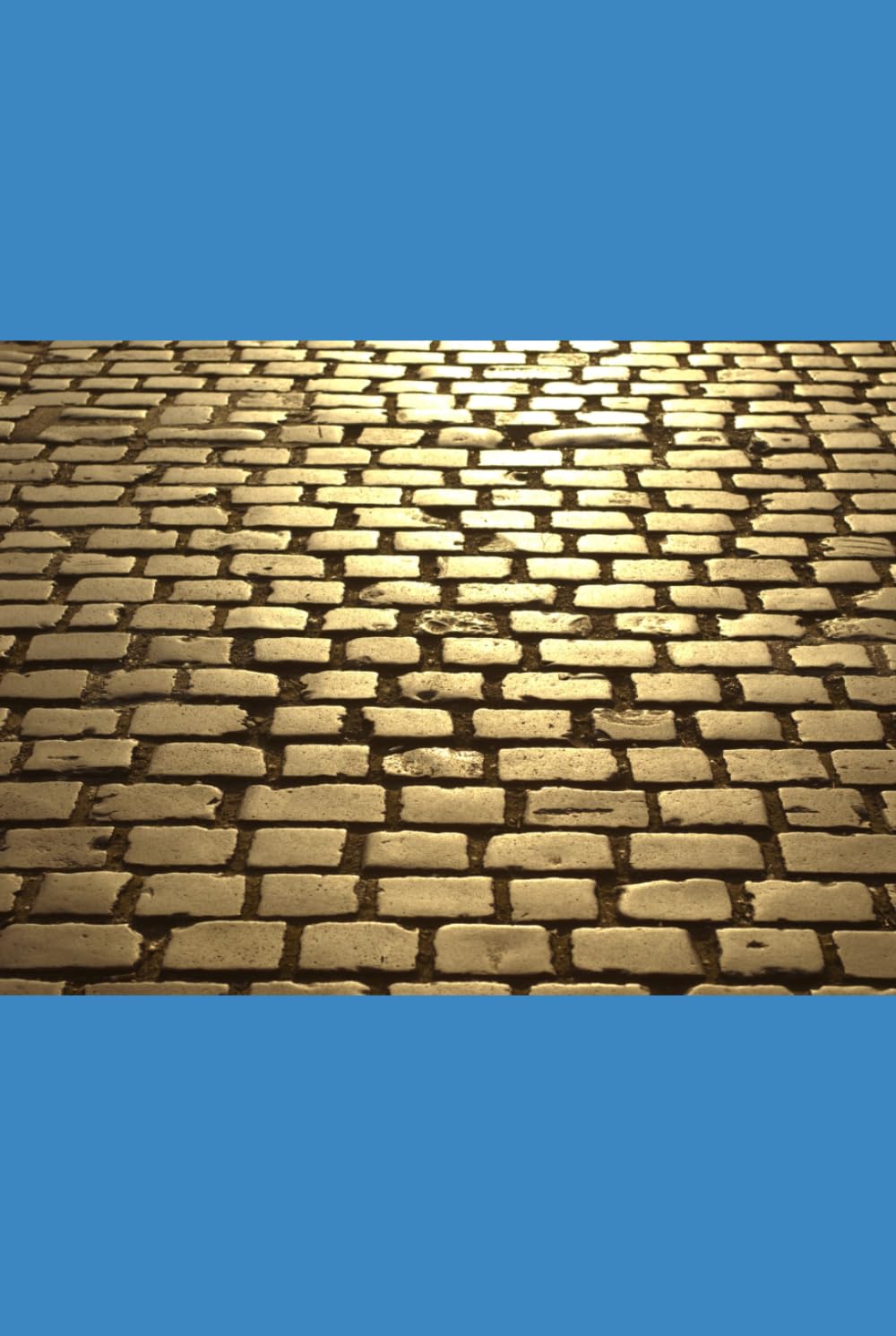 Stoic Living 365 Volume 2: Embracing the Resilient Stoic Within