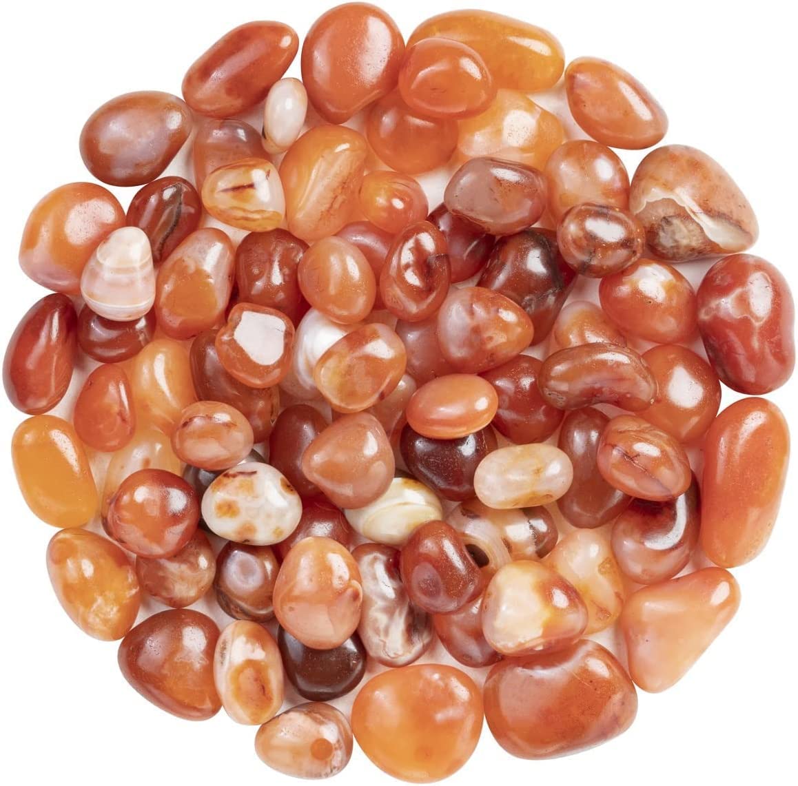 FASHIONZAADI 1 LB Natural Carnelian Tumbled Stones bulk Polished Crystal Tumbles rocks Reiki Healing Crystals Gemstone Chakra Balancing Home and Living Room Decor Spiritual Gift Set