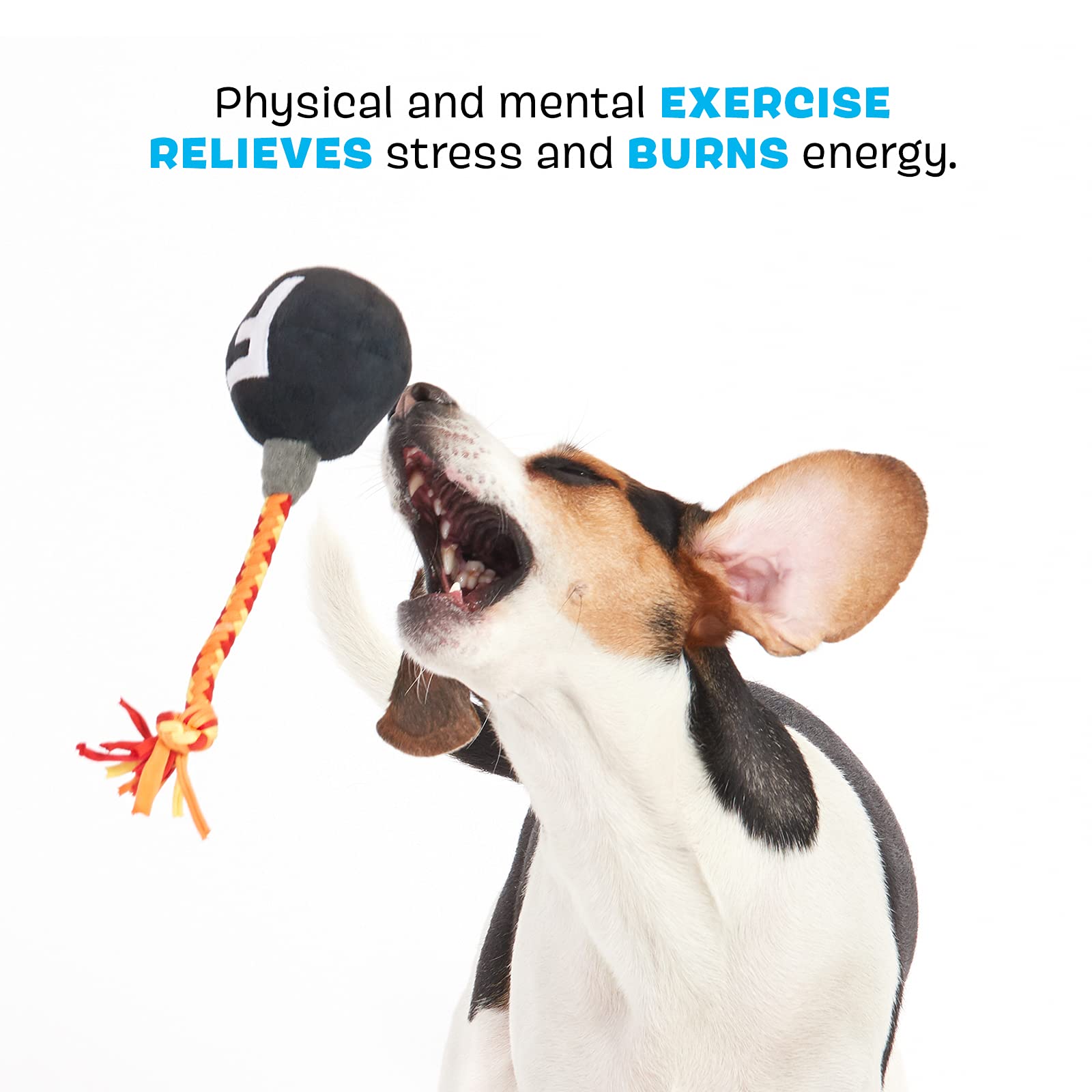 Barkbox Dog Toys F Bomb Squeaker Ball Interactive Chew