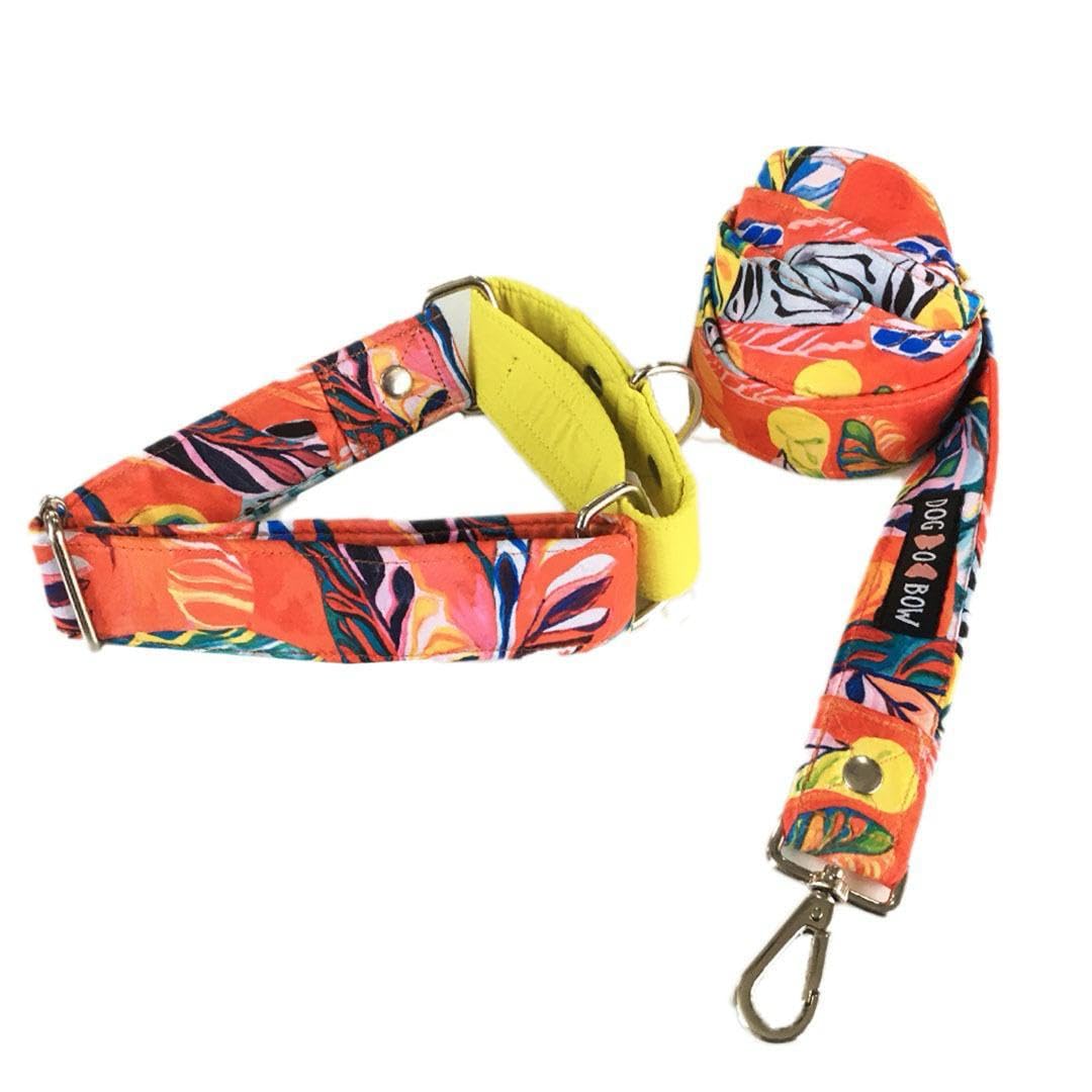 Dog-O-Bow Red and Yellow Martingale Collar with Leash for Dogs (L) (B0CYT2V8DV) Amazon Price History, Amazon Price Tracker
