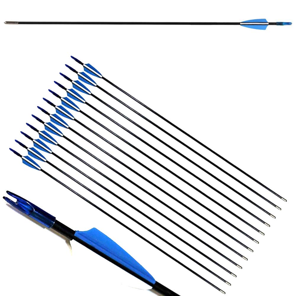 12pcs Flèches en Fibre de Verre 31 Pouces Flèches d'entraînement de Cible Spine 900 Flèches de Chasse avec Flèche Carquois pour 35 Lbs Arc Recourbé Arc Long Traditionnel
