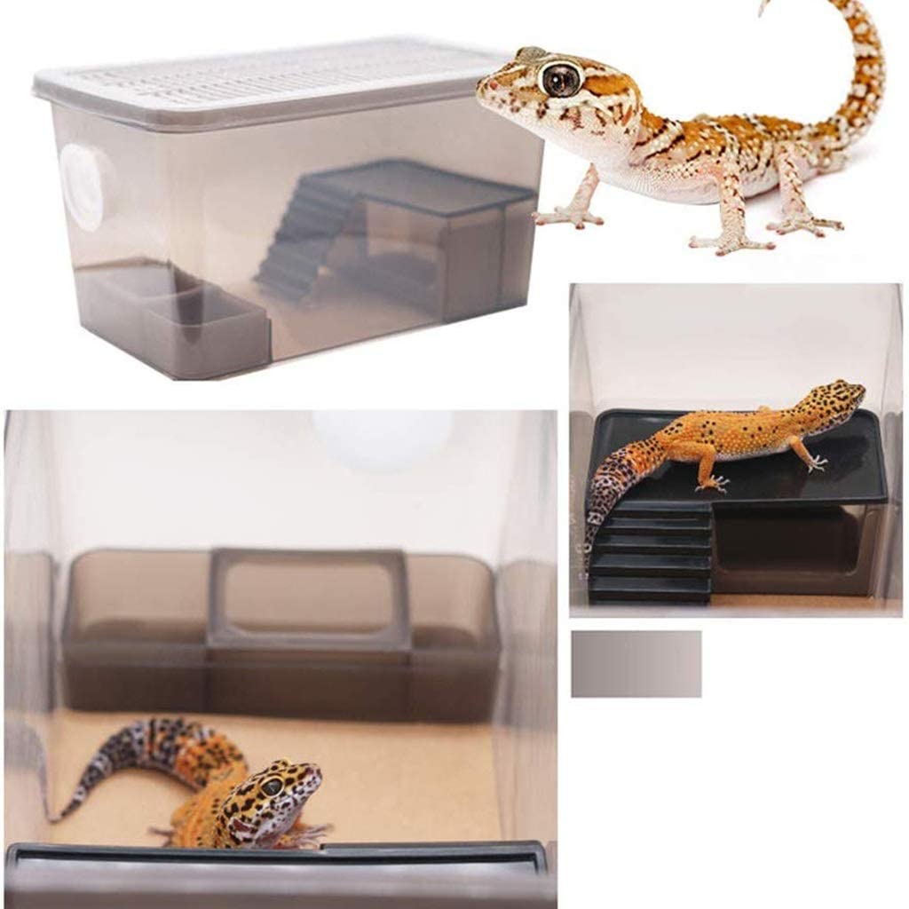 Terrario para Reptiles Incubadora de Calefacción Transparente para Mascotas Hábitat Anfibio Lagarto Camaleón Terrario de Serpiente Araña Fácil de Mover (Negro 29,5 * 14,7 * 15,2 cm)