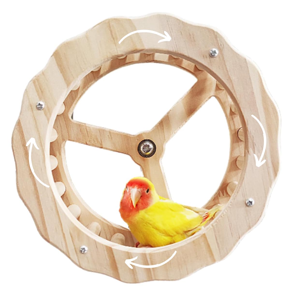Bird Cage Toy Bird Exercise Wheel | Spinner Running Wheels For Bird ...