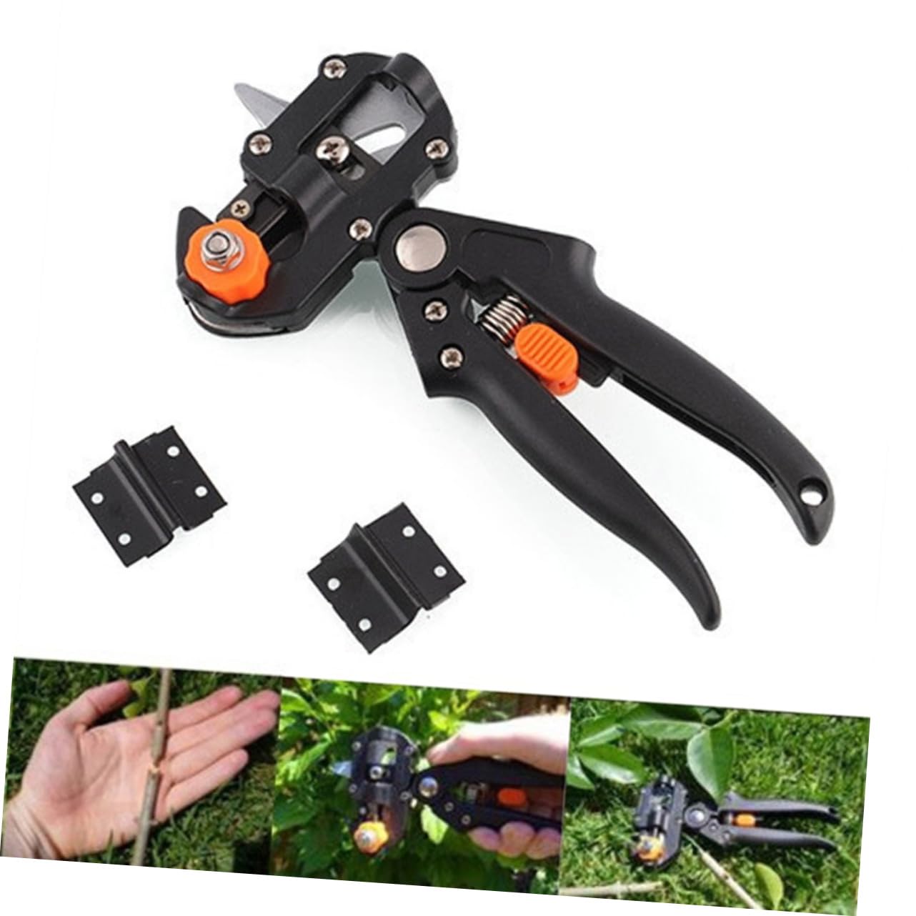 Forbici da Innesto per Alberi e Piante in Acciaio Inox | Uso Rapido e Semplice, Aumenta le Attecchimento, Utensile da Giardino per Orto