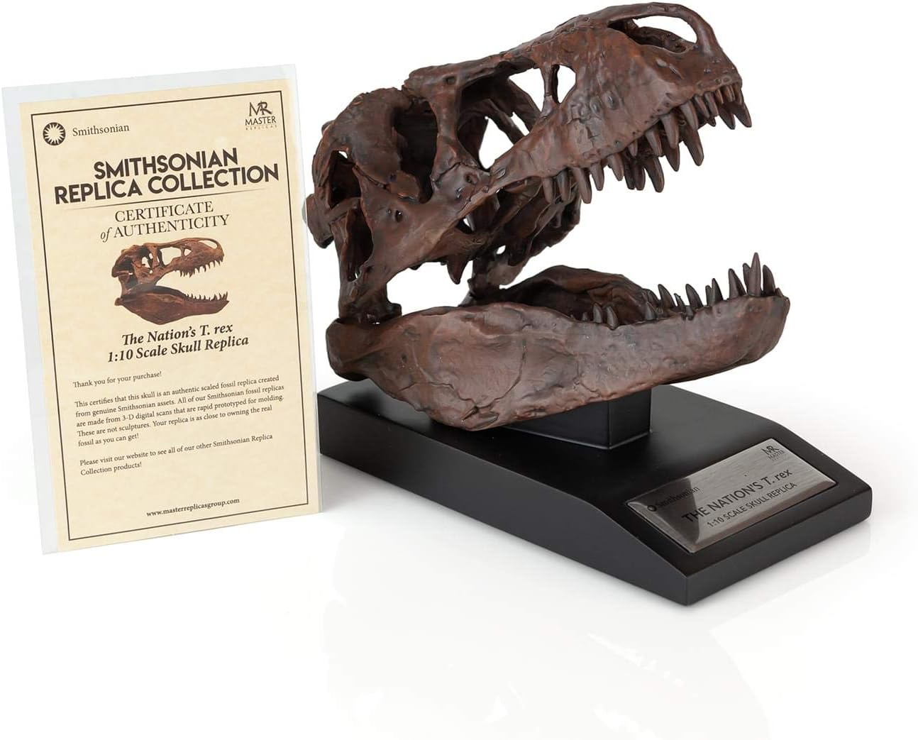 The Nation's T-Rex Skull Statue | Smithsonian Fossil Replica | 6-Inch Tall Tyrannosaurus Rex Desk Statue | 1:10 Scale