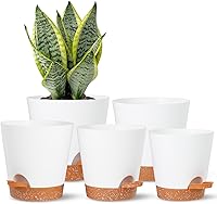 Vista 12 de Macetas de autoriego, macetas para plantas de interior, macetas para plantar flores en interiores para plantas de casa, violeta africana, flores