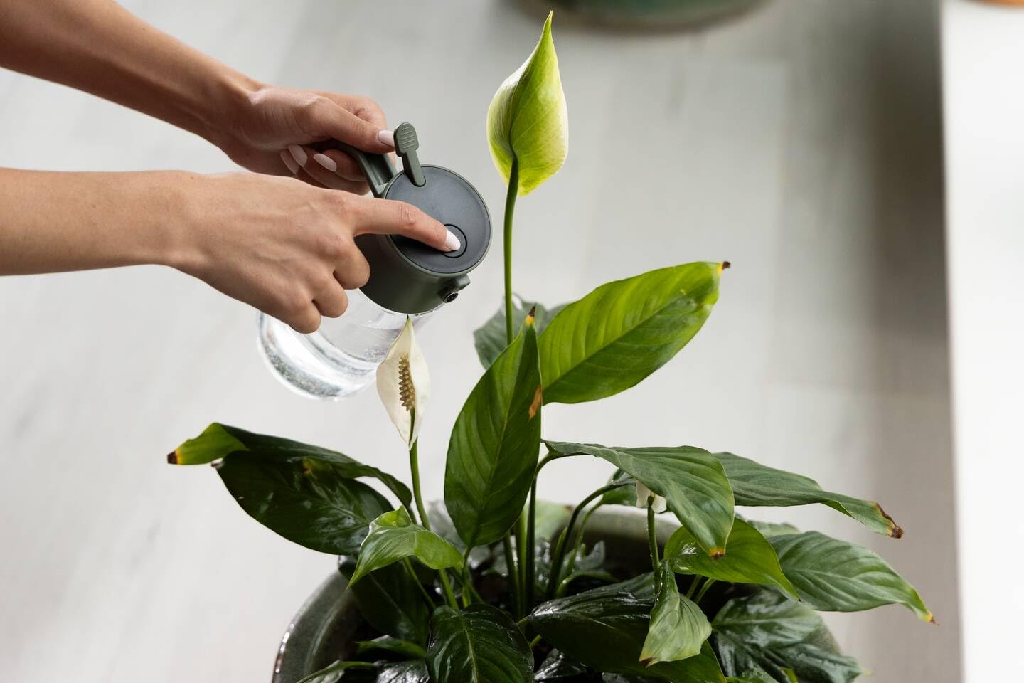 Fiskars Plant Care Mist & Pour Watering Can