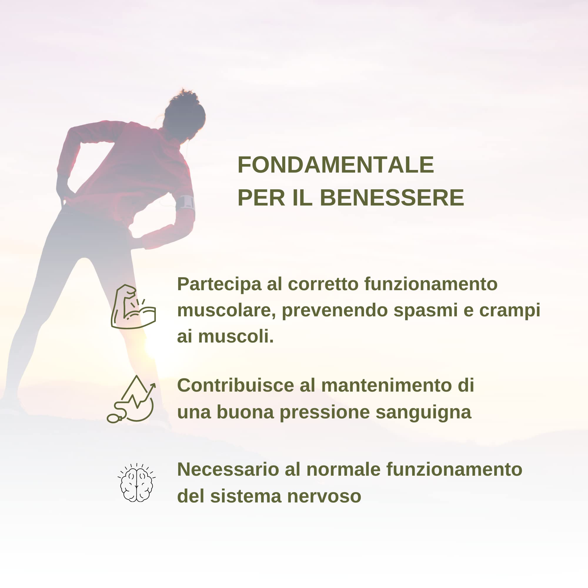 Benessence - Potassio Citrato in Polvere solubile - 500 g - 250 Giorni di Integrazione