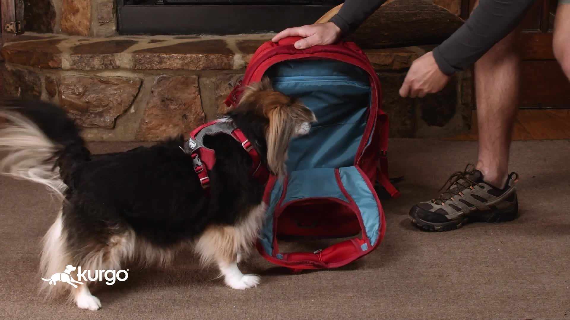 Marsupio Per Cani Kurgo Baxter Zaino Per Cani, Zaino Per