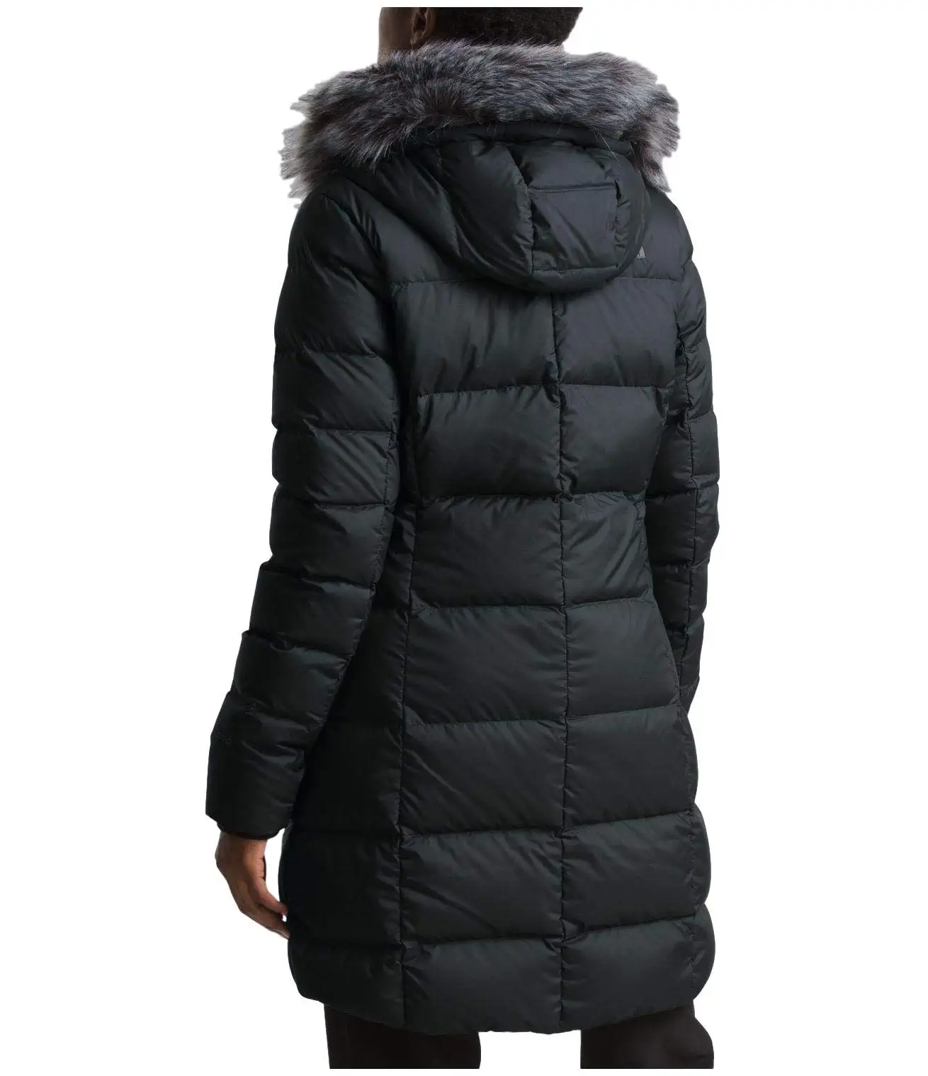 North Face Dealio Down Parkina 