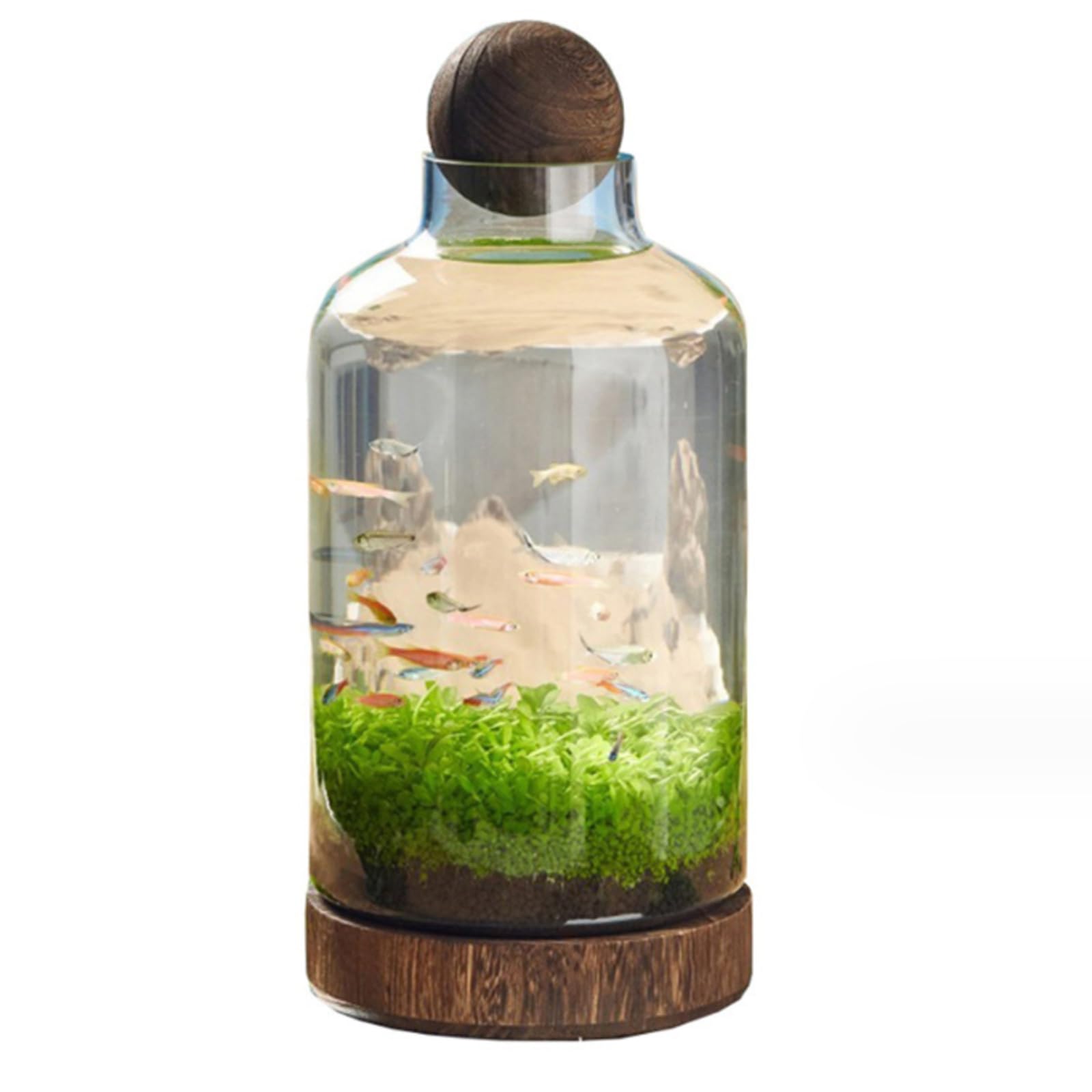 Micro Paisaje Eco Botella de vidrio tanque de peces del acuario, Aqua Botella de agua de semillas de plantas hidropónicas Botella, Home Art Decoración Decoración,D