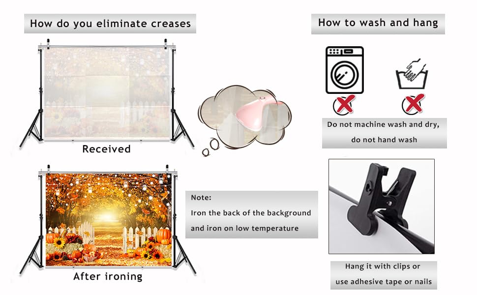 Herbst Fotohintergrund 2,4x1,8m - Ahornwald Mit Kürbissen