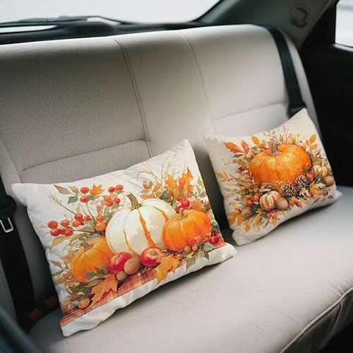 NbVJo[ 60x90 cm 2 Zbg ` xxbg Jo[ J{L \t@[ NbV  ʃfUC t  H ~   zc BWbp[ I[V[Y s[P[X \t@  蕨 w-729