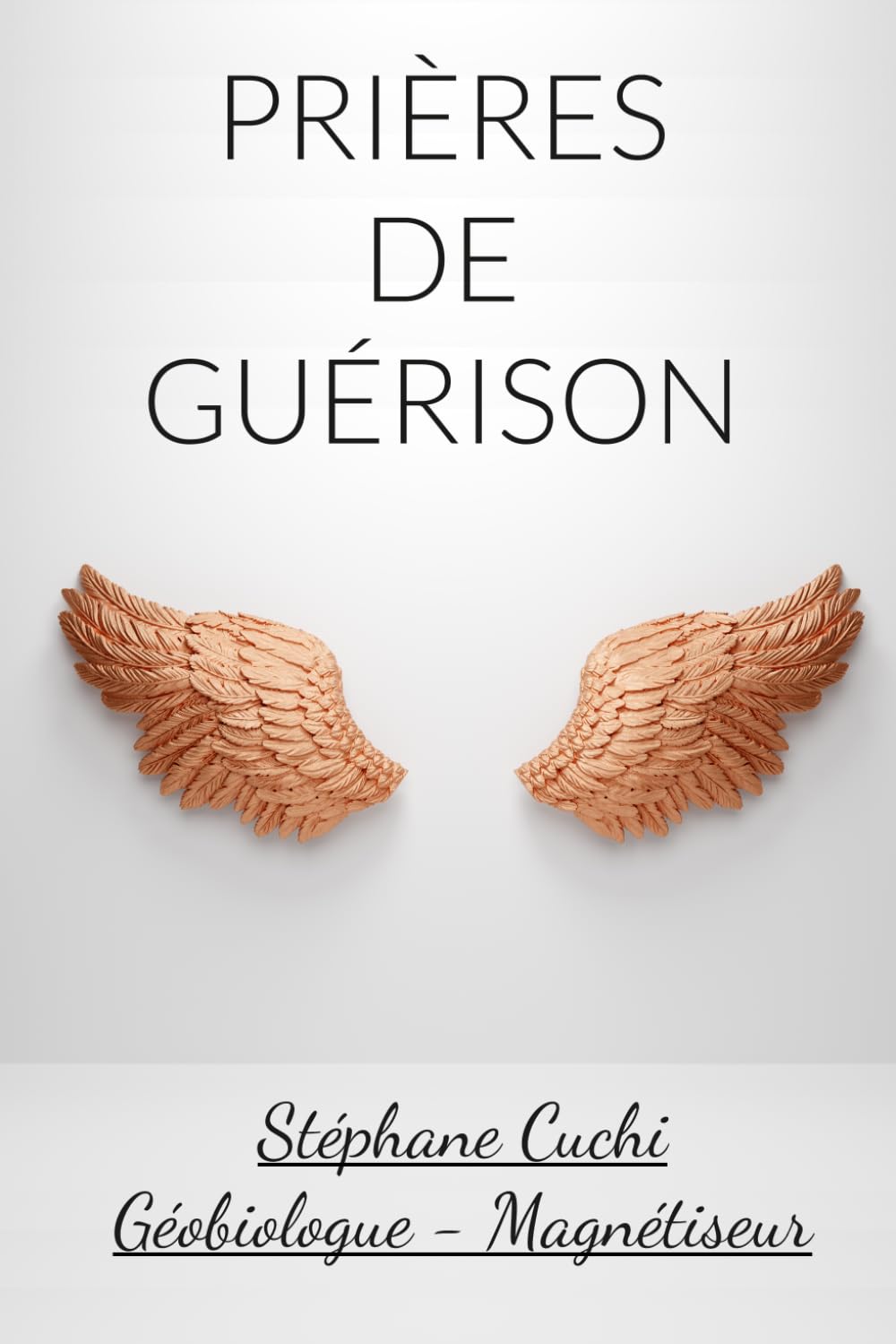 Prières de Guérisons: Guides et prières sacrées pour les magnétiseurs et praticiens énergétiques