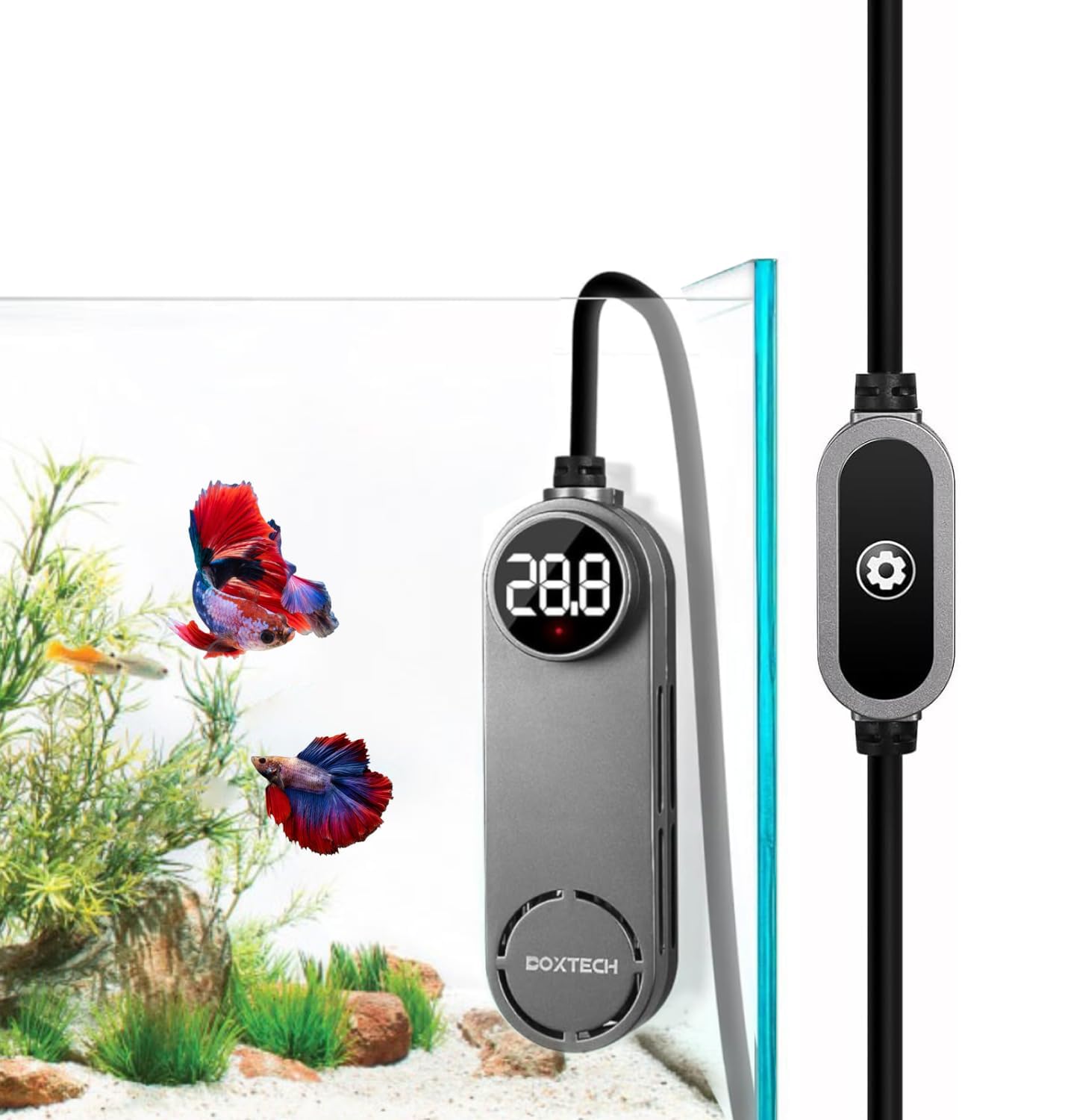 UPETTOOLS Chauffage d'aquarium 75 W pour aquariums de 1,5 à 77 litres – Chauffage submersible pour aquarium avec affichage numérique et contrôleur de température externe, réglable de 20 °C à 33,9 °C