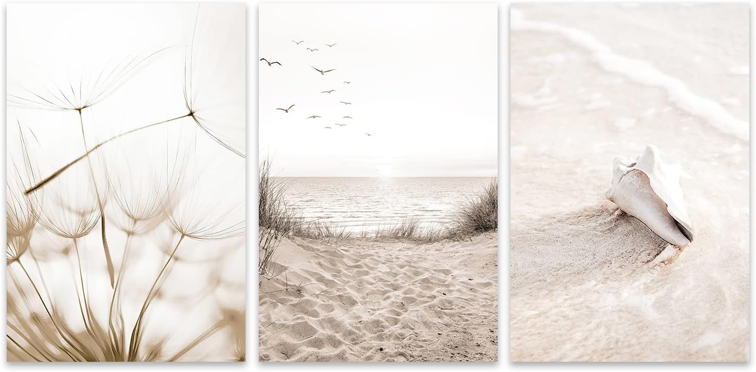Lianyibo Frameless Neutral Landscape Artwork Wall Art Ocean Landscape Picture Small Seashell Artwork Posters Prints For Living Room Decor(60X90cmx3/Frameless)