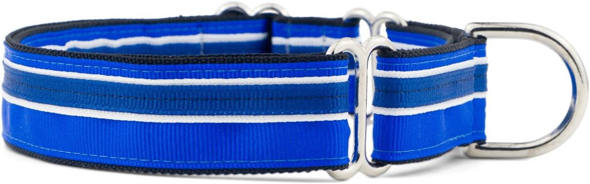 If It Barks 1" Martingale Collar for Dogs, Adjustable Nylon, USA Made, Large, Blueberry