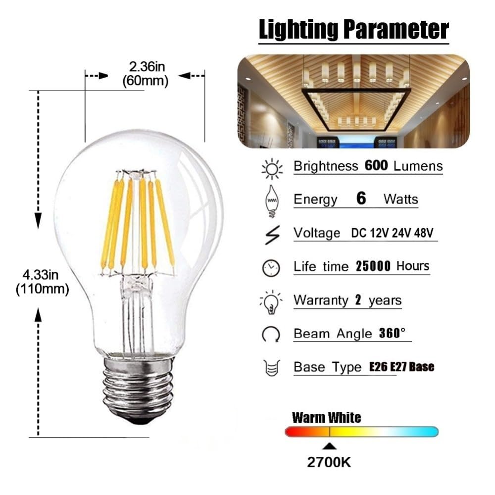 RZL LED Lights Bassa tensione 6W Edison Globe Bulbi, 12V a 24V DC ha condotto la lampada A19 filamento della lampadina Daylight Bianco 4500K bianco caldo 2700K E26 E27 (10 pezzi)