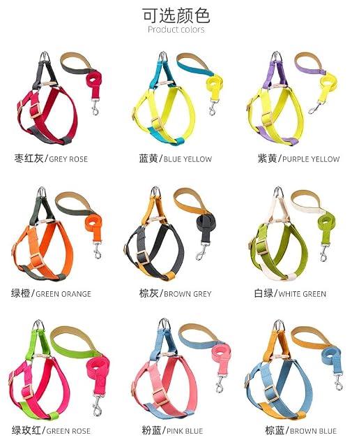 Juego de arnés y correa para perro, multicolor, ajustable, fácil de llevar