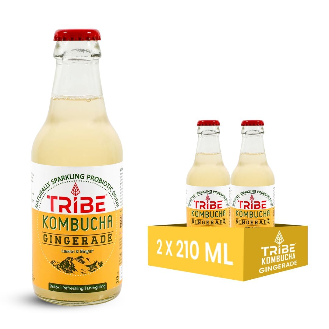 Tribe Kombucha Naturally Sparkling Probiotic Herbal Tea | Ginger & Lemon | Gut Friendly | Gluten free | Antioxidant and Hydration | Gingerade | Pack of 2 |210 ML