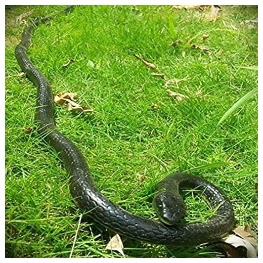 Yoogeer 47 Inches Rubber Lifelike Snakes Scary Gag Gift Incredible Creatures Chain Snakes Rain Forest Snake Toys Wild Life Snakes