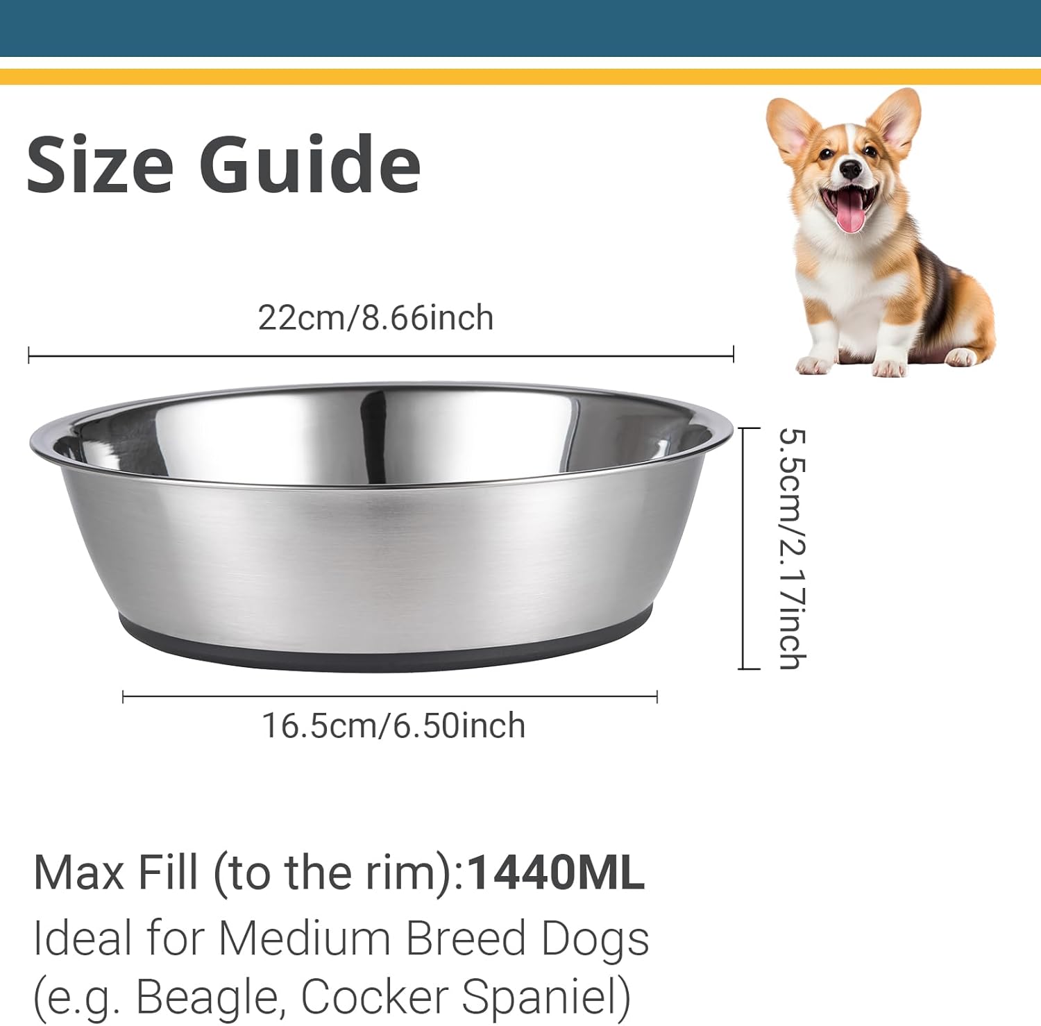 Top Choice for Pet Owners: PEGGY11 Lightweight Stainless Steel Dog Bowls Review