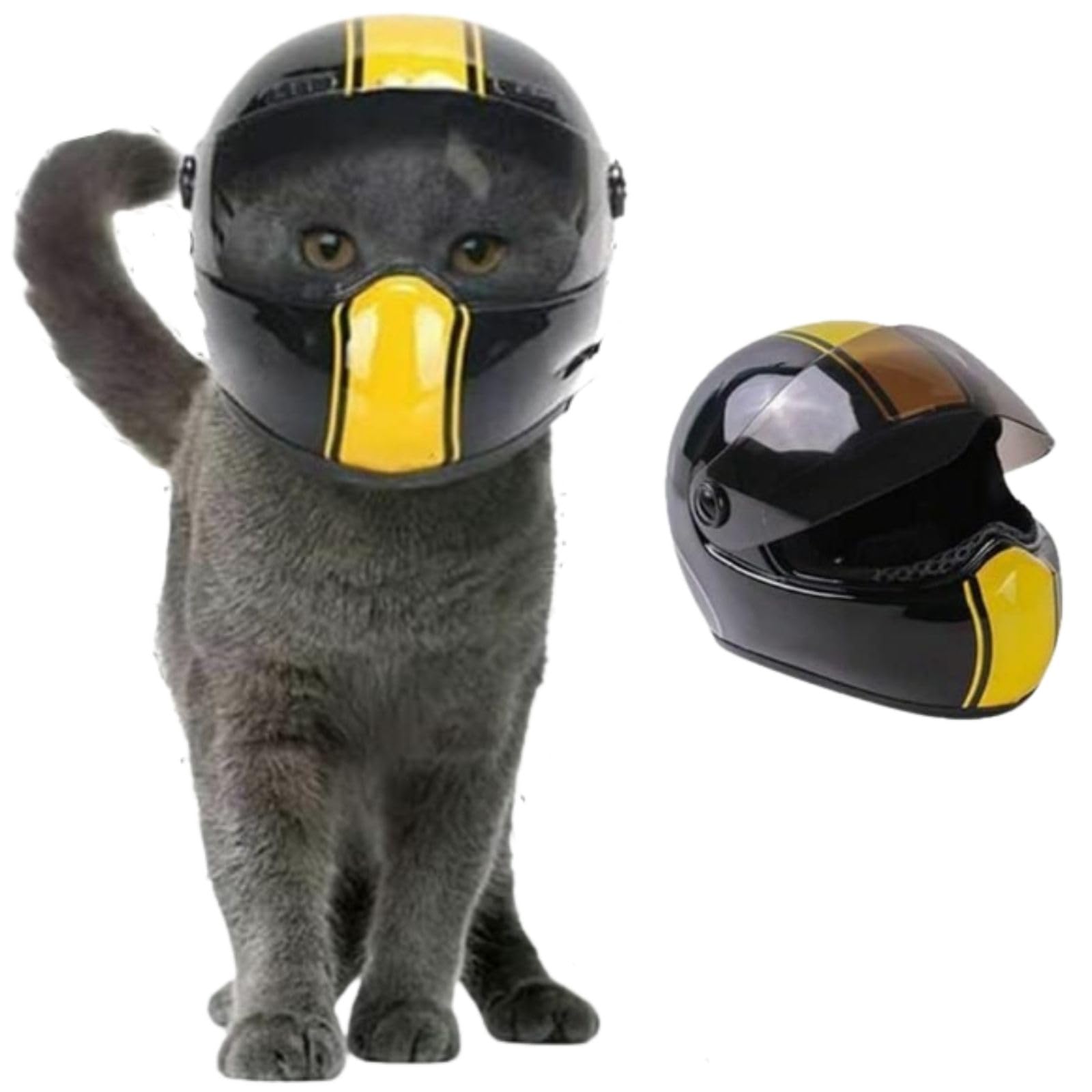 black cat with fangs motorcycle helmet Pet Dog/Cat Full Face Motorcycle Helmet Outdoor Motorcycle Bike Riding Helmet Hat for Dog Doggie Puppy Kitten Pet Supplies Racing Car Fan Collectible Small Gift (Black-Yellow) Color:White Glow (AQA0111) XP Lite 2.0 Arctic striper Depth 6' 8' floatback With one of these