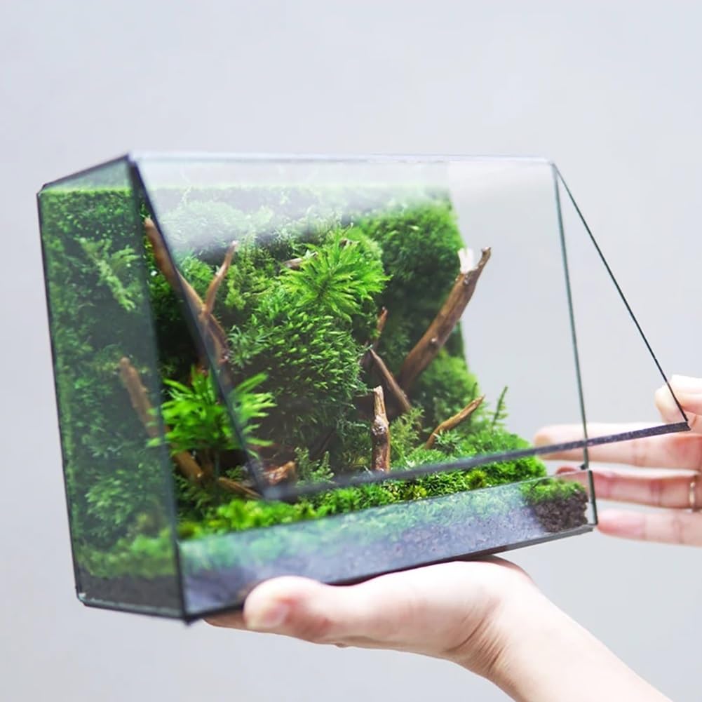 AVCULT Terrario Geométrico Hecho A Mano, Geométrico Maceta Hecha A Mano,Maceta Moderna De Cactus Suculentos, Decoración De Jardín para El Hogar Regalo (Solo Terario) (Color : 19.5 * 8 * 14.5 CM)
