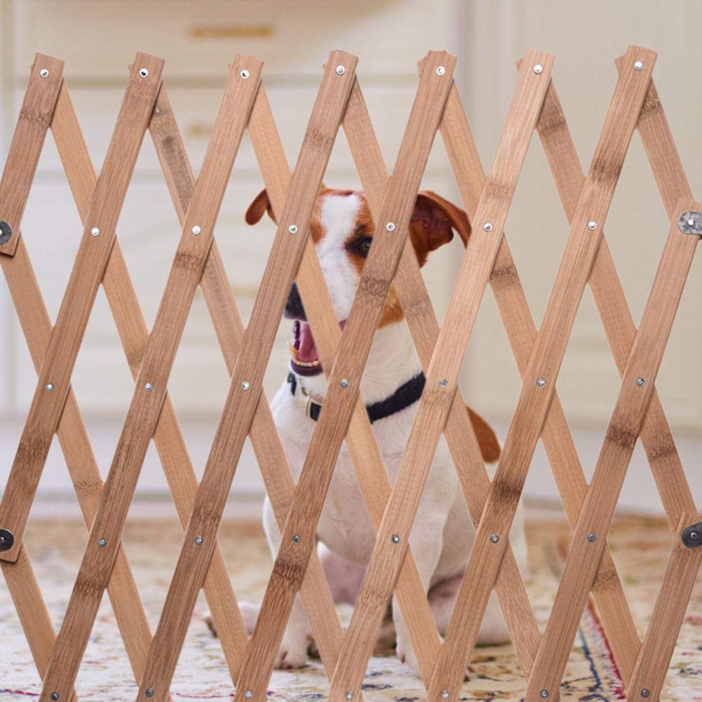 retractable pet fence