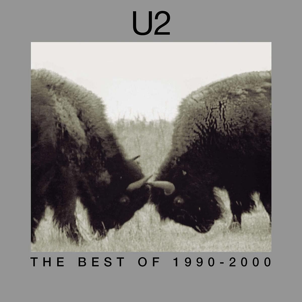 The Best Of 1990-2000 [Disco de Vinil] por U2 — capa do álbum
