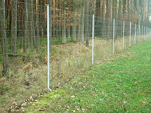 Foto von Wildzaun Forstzaun Drahtzaun Weidezaun Knotengeflecht Zaun 15 Größen (Wildzaun 100/08/15)