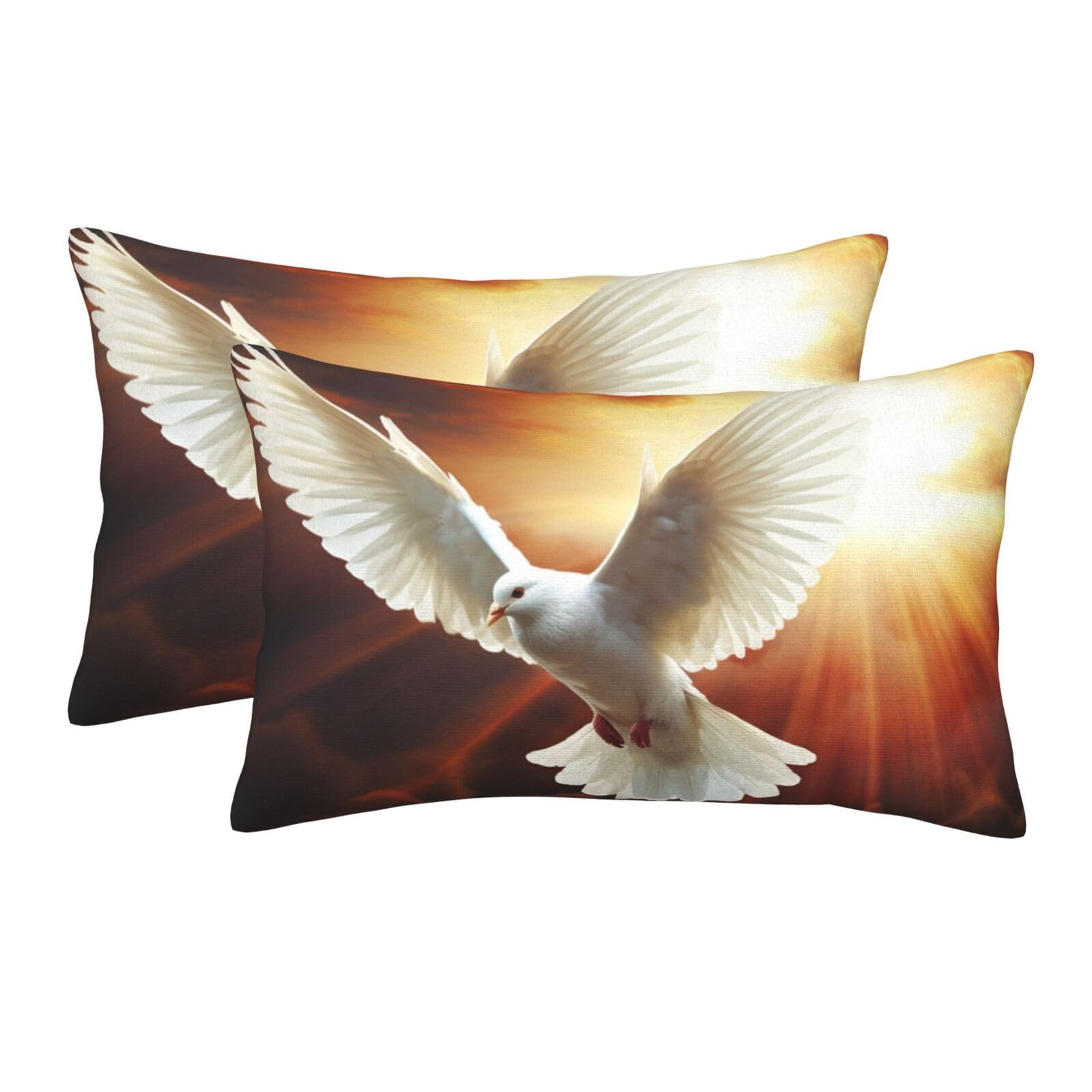2 Pack Pillow Cases with Hidden Zipper, Soft Breathable Pillow Covers for Hair and Skin, Dove Sun Art Pillowcases 20"x30" Bed Pillow Protectors Cover for Sleeping Gifts