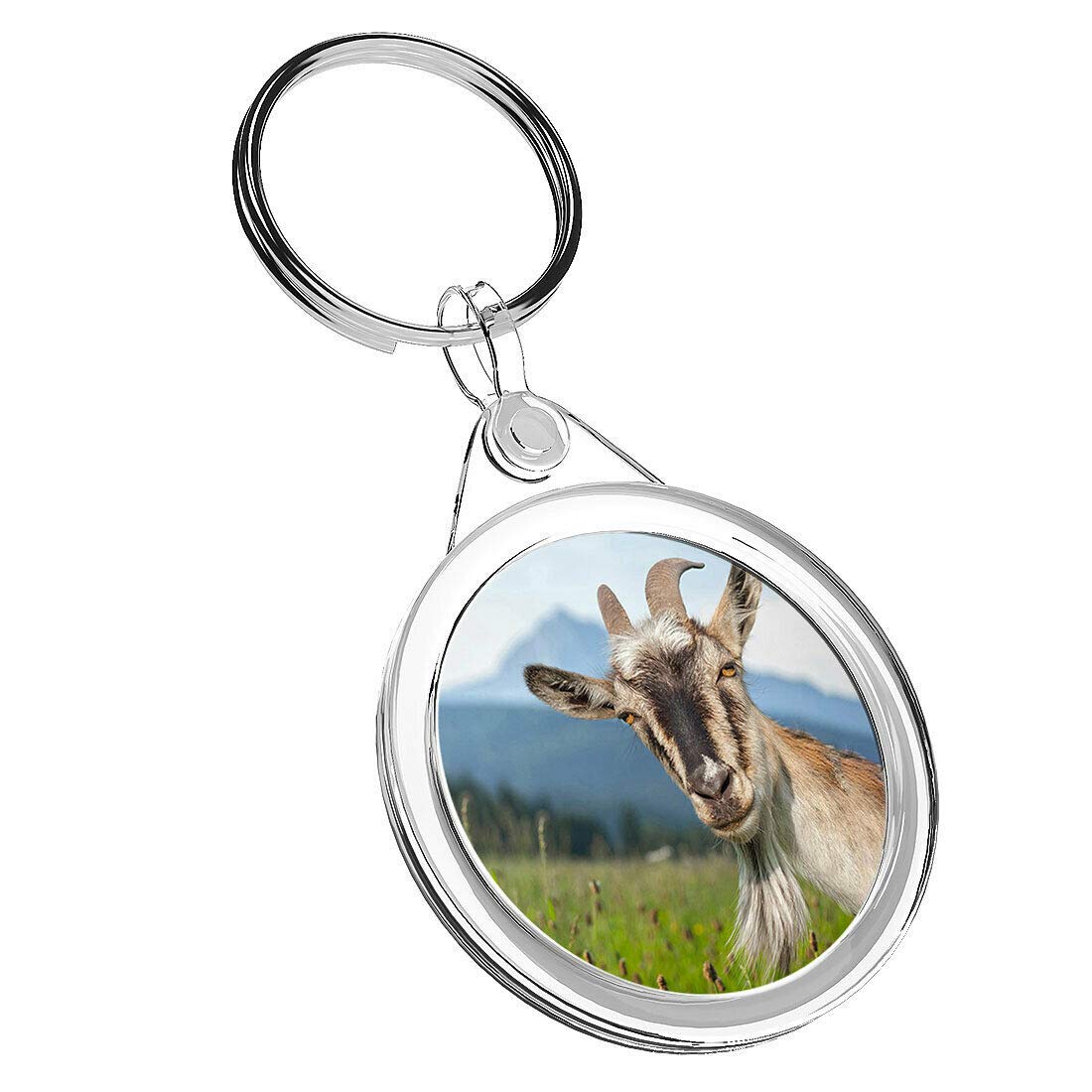1 x Cheeky Billy Goat Mountain - Keyring IR02 Mum Dad Kids Birthday #8515